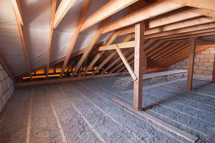 Attic Renew Mold Removal